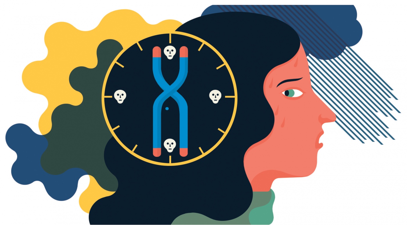 The Science Of Aging | Brown Alumni Magazine